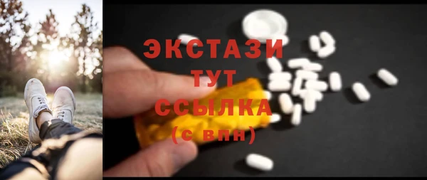 стаф Богданович