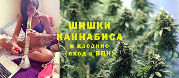 прущая мука Богородск