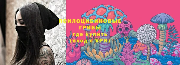 первитин Новодвинск