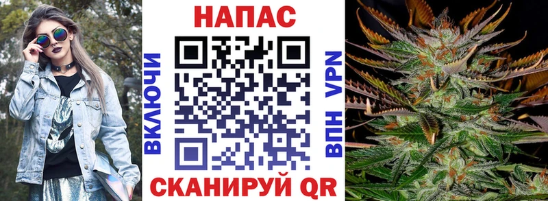 Шишки марихуана тримм  hydra онион  Горячеводский  площадка формула  даркнет сайт 